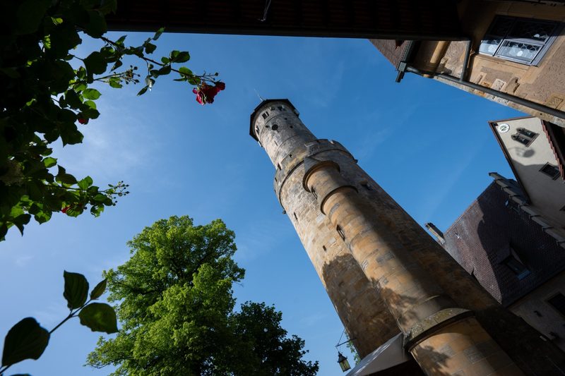 Der Bergfried, eingerahmt von Rosen.