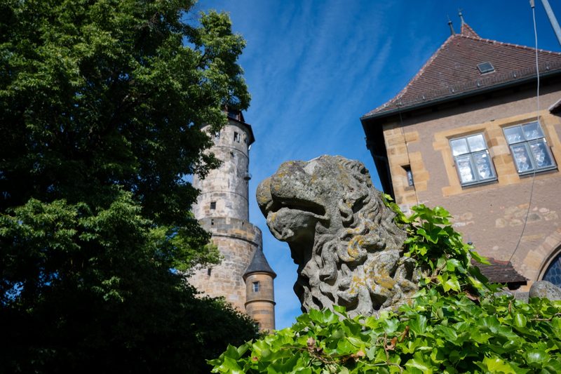 Steinerne Löwenskulptur vor Bergfried und Burgbau.
