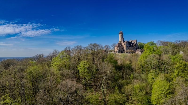 Die Burg von Süden an einem klaren Frühlingsmorgen, der Bergfried über dem noch nicht voll ergrünten Hangwald. 15. April 2025.