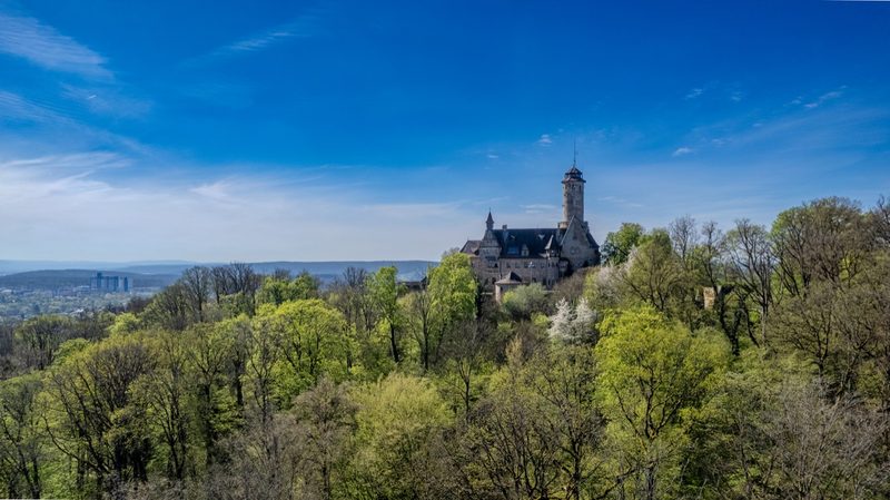 Die Altenburg von Südwesten über dem frisch ergrünenden Hangwald, Bamberg rechts im Tal. 15. April 2025.