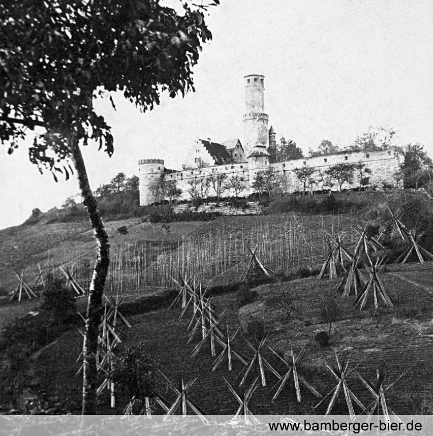 Bildarchiv bamberger-bier.de: Hopfenanbau um die Altenburg und im Teufelsgraben, um 1900